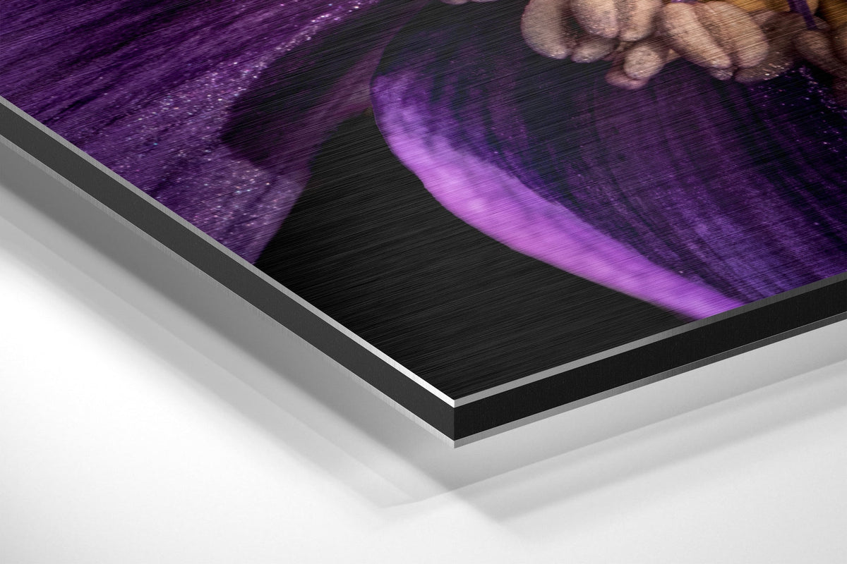 Purple Petals Yellow Center Flower Brushed Aluminium Dibond Wall Art