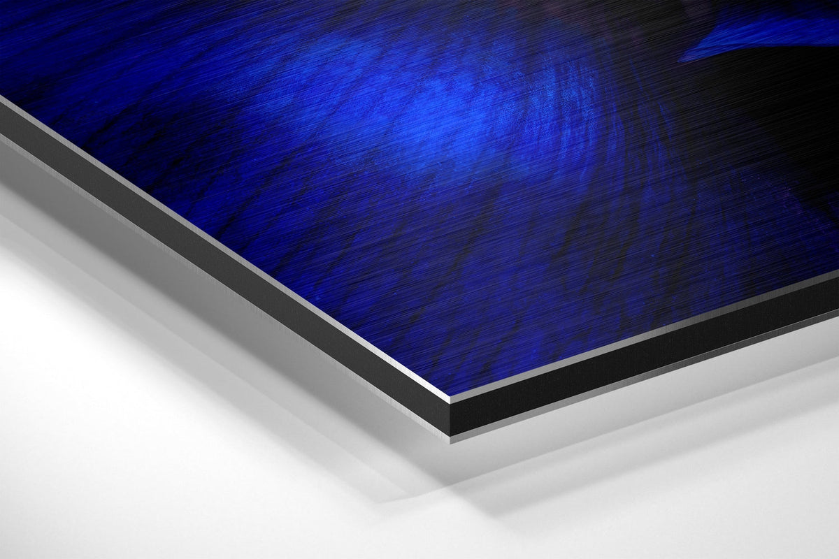 Cobalt Blue Anemone Flower Macro Brushed Aluminium Dibond Wall Art